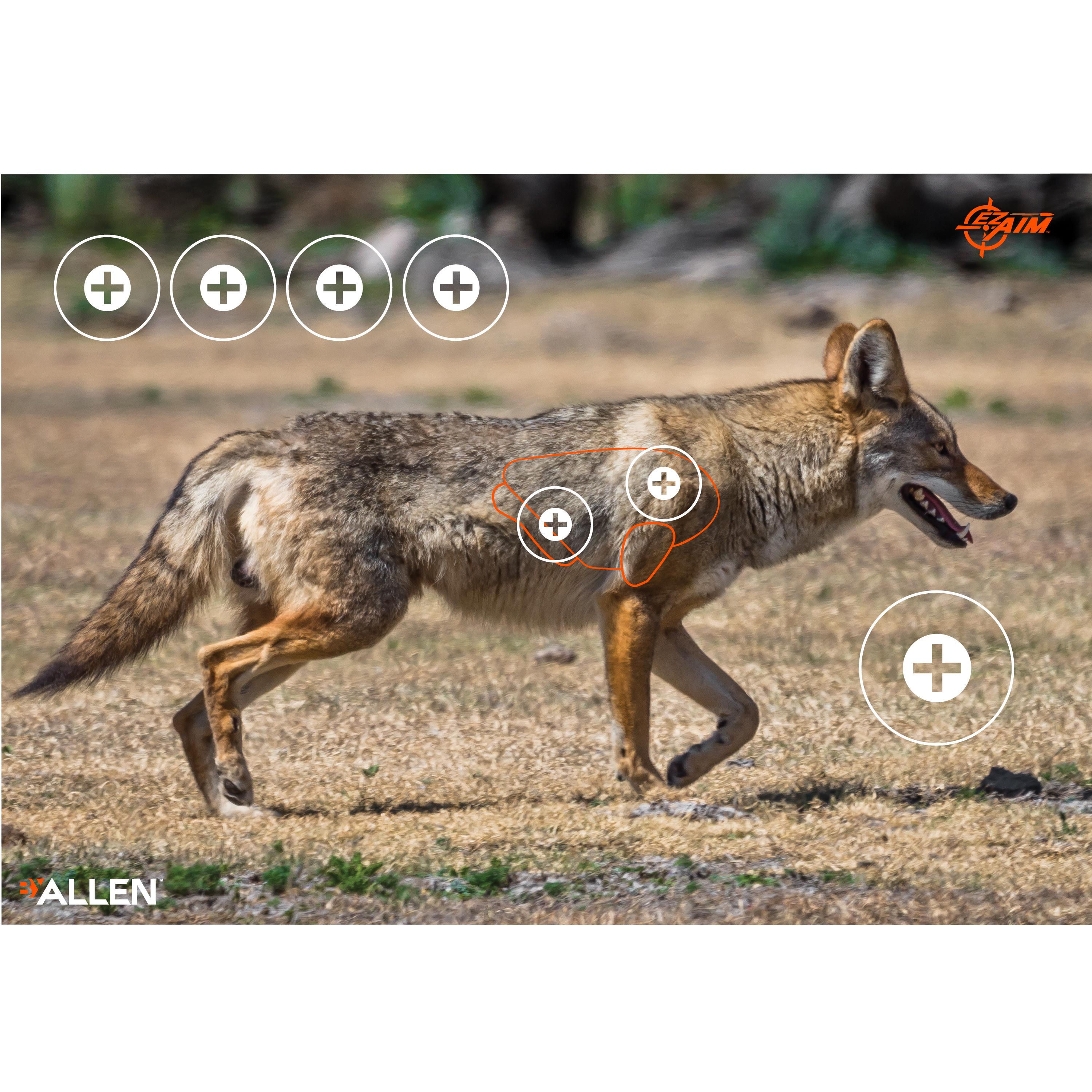 Allen EZ-Aim Paper Four Colour Target - Coyote