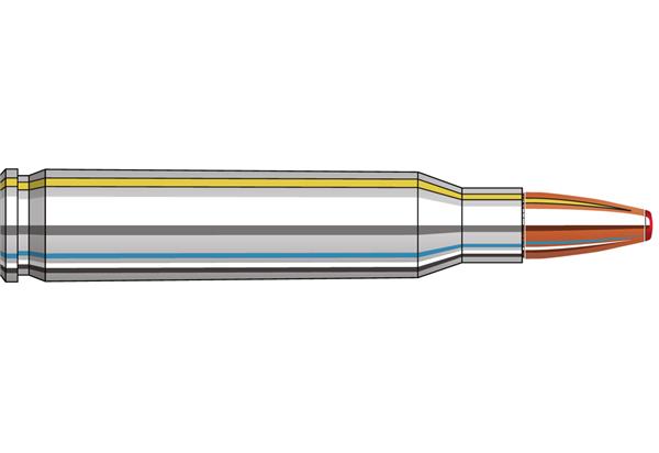 Hornady Ammo 223 Rem 55 Gr FTX CD