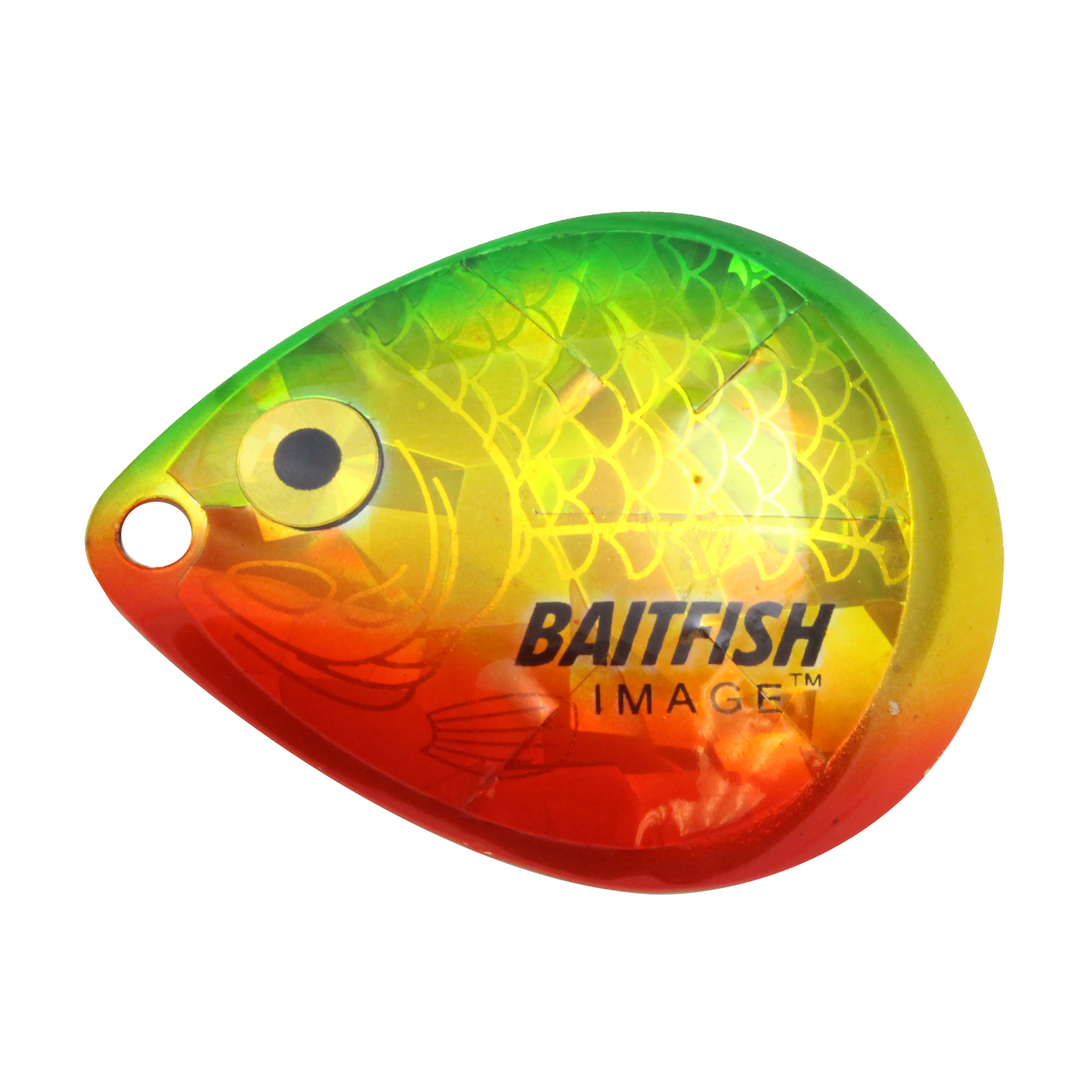 Northland Baitfish-Image Colorado Blades, 1.25", 3/Pk, Gold Perch