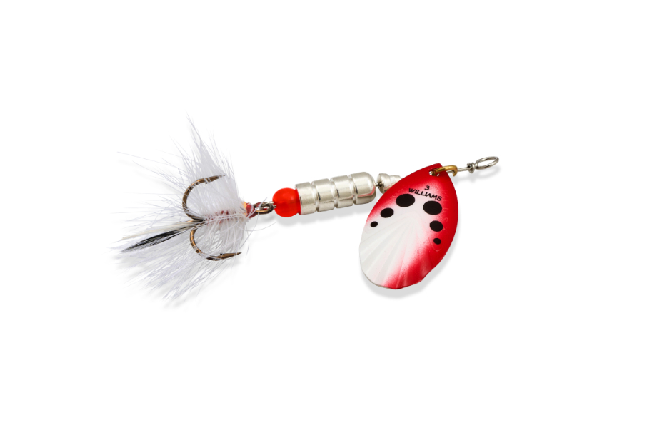 Williams VorteX Spinner Dressed Size 3, 1/4 oz-Red and White on Silver