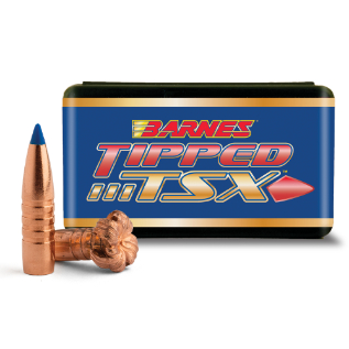 Barnes Bullet 270 Cal TTSX BT 95 Gr