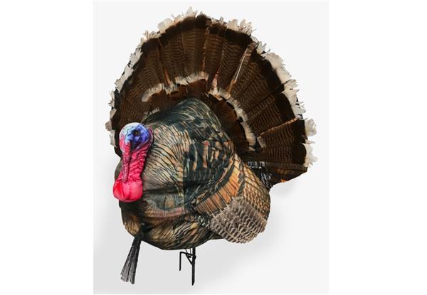 Montana Decoy Wiley Tom 3D Decoy