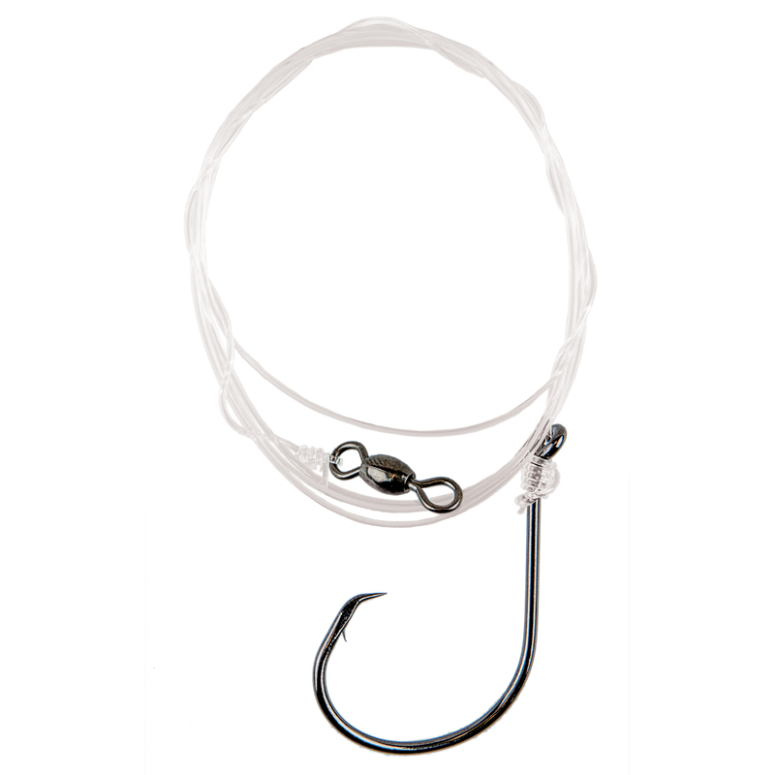 Lazer Sharp Striped Bass Rig, Inline Circle w/Fishfinder, #7/0