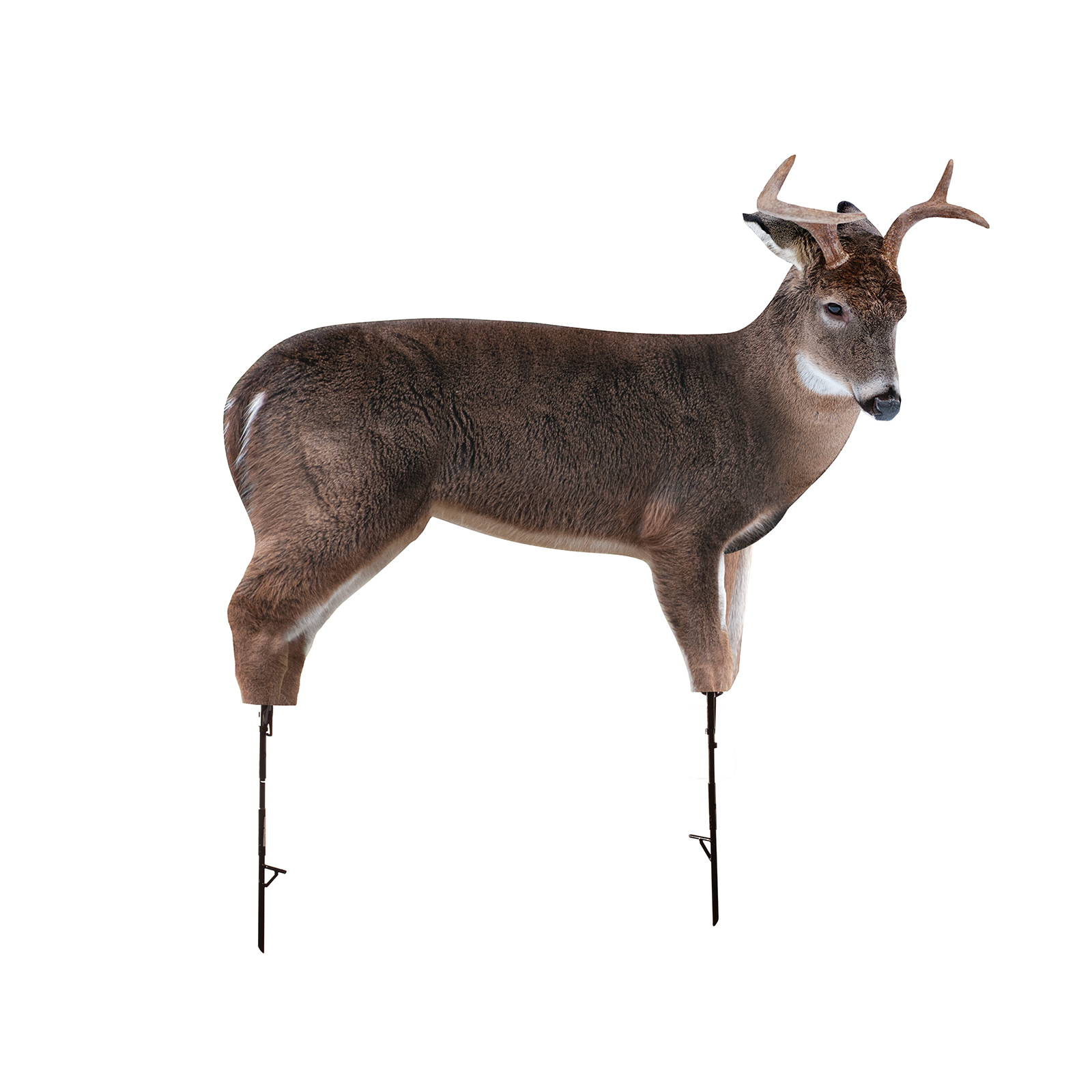 Montana Decoy The Freshman Buck Decoy