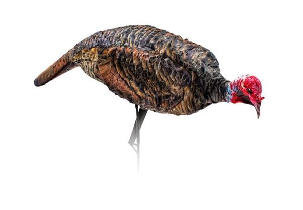 Montana Decoy Jake Purr-Fect XD 3D Jake Decoy Decoy