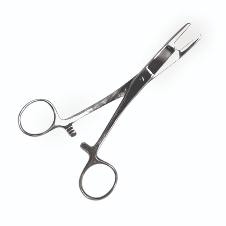 Eagle Claw Surgical Pliers w/Scissors 6"