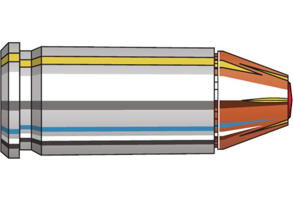 Hornady Ammo 32 Auto 60 Gr FTX CD