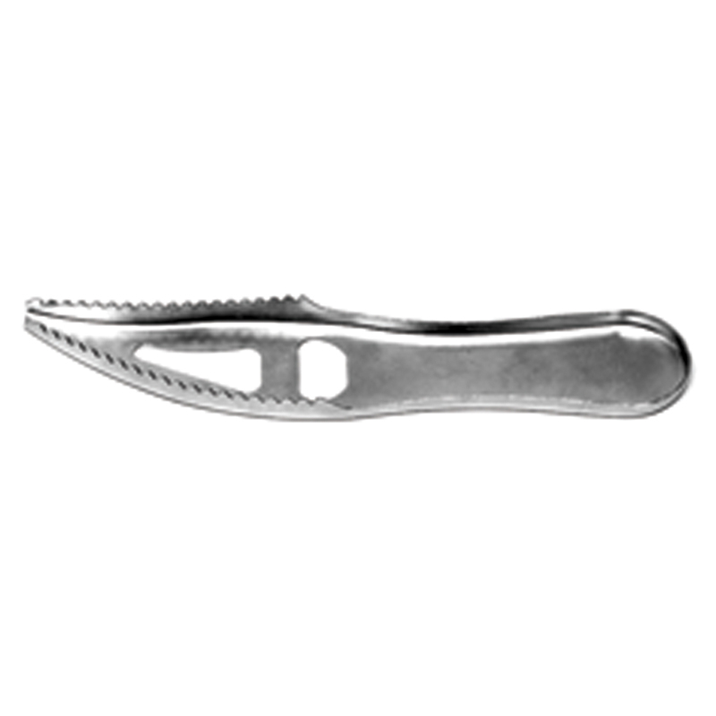 Eagle Claw Fish Scaler 7"