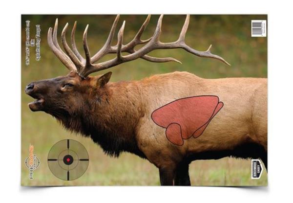 Birchwood Casey Pregame 16.5" x 24" Elk Target