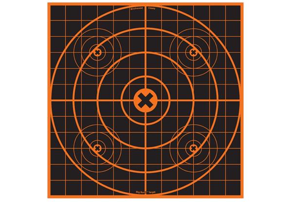 Birchwood Casey Big Burst 12" Sight-In Targets