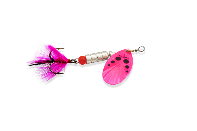 Williams VorteX Spinner Dressed Size 3, 1/4 oz-Pink Black Dots on Silver