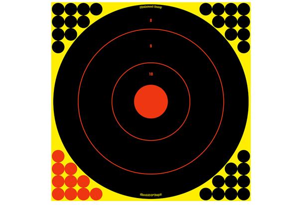 Birchwood Casey Shoot•N•C® 17.25" Bull's-Eye Target - 5 Targets