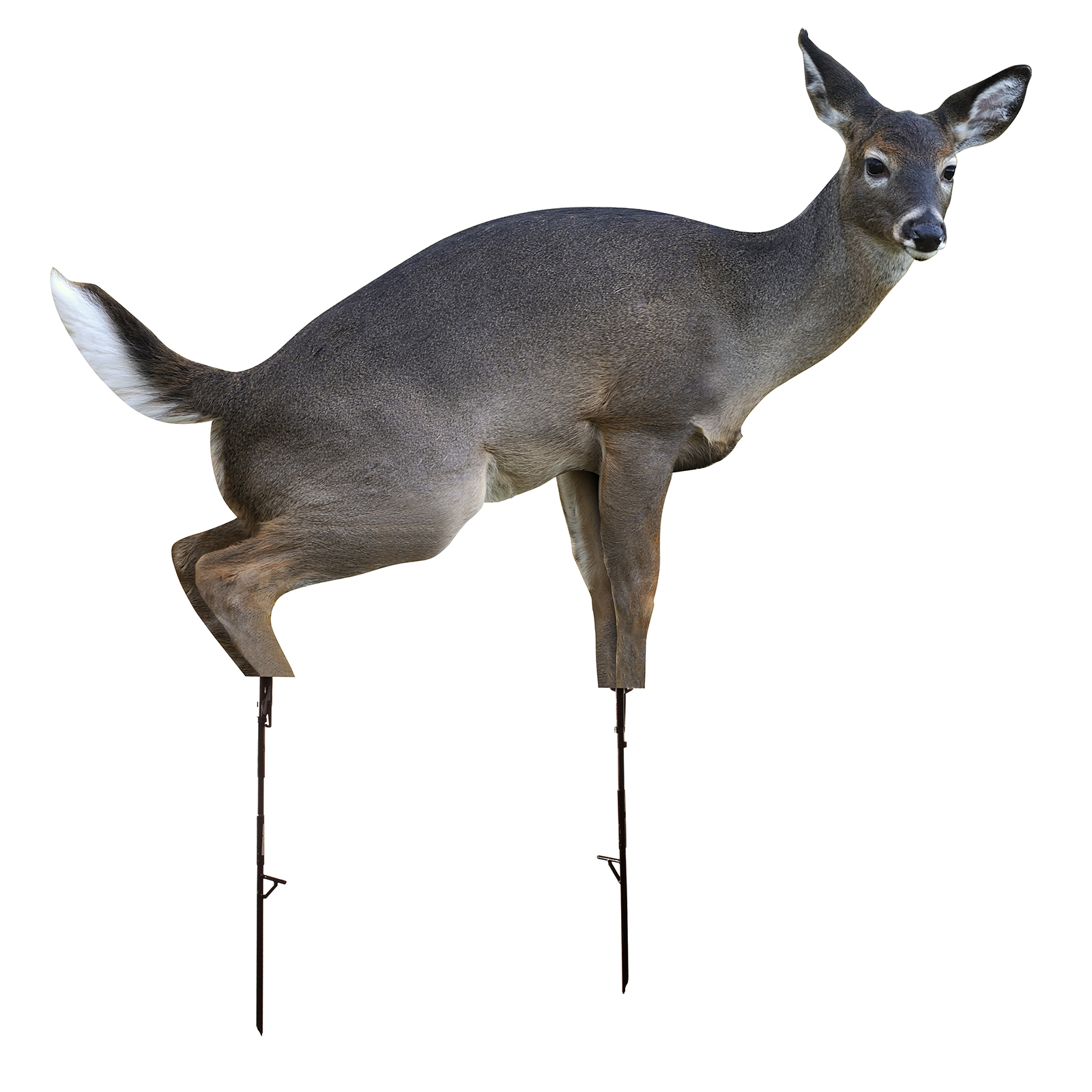 Montana Decoy Estrus Betty Decoy